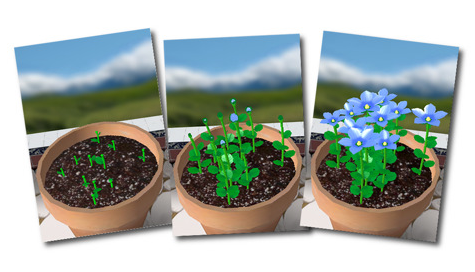 Flower Garden screen