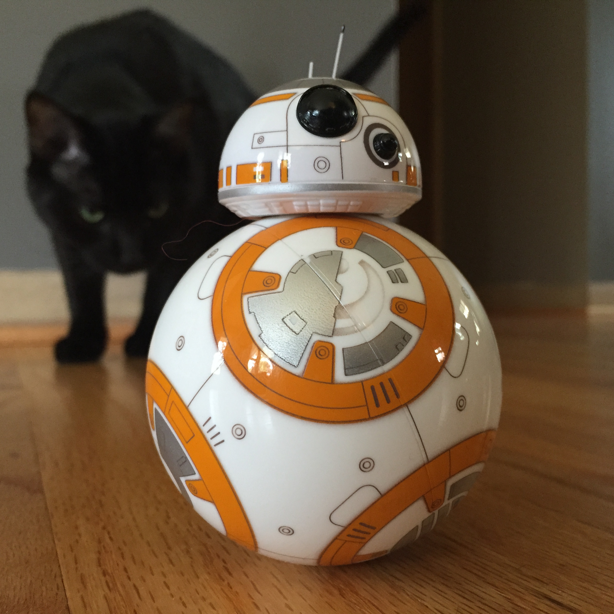 Sphero BB-8 App-Enabled Star Wars Droid Review - Malibu Stacy's New ...