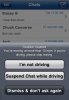 seatbelt.jpg
