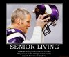 Vikings.jpg