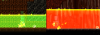 Immune.png