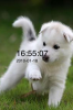 IMG_0315.png