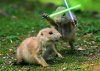 animals-with-lightsabers-3.jpg