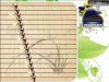 zither 3.jpg
