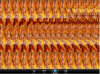 Bildschirmfoto 2010-05-07 um 10.49.05 PM.png