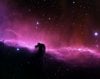 horseheadnebula.jpg