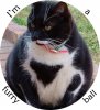 furry ball.jpg