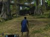 forest-contnorth.jpg