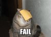 fail_cat-12835.jpg