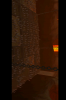 IMG_0005[1].PNG