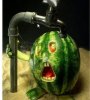 funny-watermelon-pictures.jpg