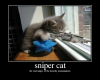 snipercat.png