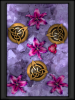 448caaca.png