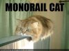monorailkitteh.jpg