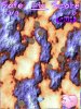 Coinshot_HD_Game_Screen.jpg