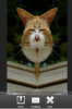 Screen shot 2011-06-15 at 9.31.39 AM.png