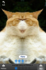 IMG_0307.PNG