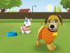touch-pets-dogs.jpg