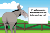donkey.png
