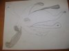 DSC01461.JPG