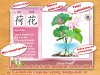 Baby Plants Flowers3.jpg