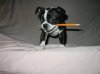 smoochypencil.jpg