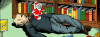 bookstore copy.png