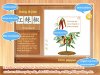 5_调整大小.jpg