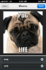 photo (15).PNG