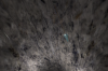 954710_193001580864388_1965885474_n.png