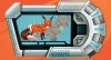603048_484292318285604_1230792549_n.jpg
