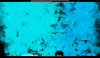 Screenshot_2015-10-26-19-17-20.png