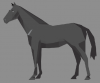 horsesim2.png