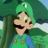 Luigi_in_his_derp_face.jpg