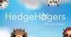 HedgeHogersLaunch.jpg