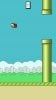 flappy02.jpg