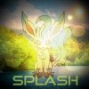 Splash.jpg