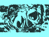 IMG_4936.PNG