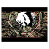 IMG_4946.PNG