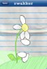 petalsfalling2.jpg