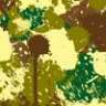 Evanology