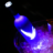 grey_goose