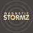 David.MagneticStormz