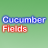 Cucumber Fields