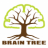 Braitree Studio