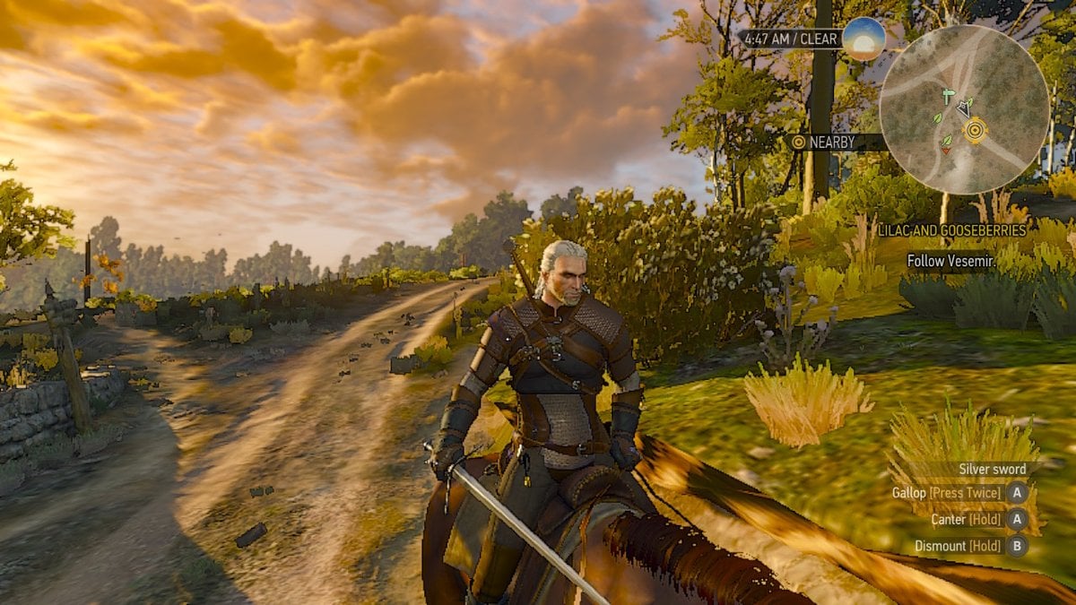 the witcher 3 switch 3.6